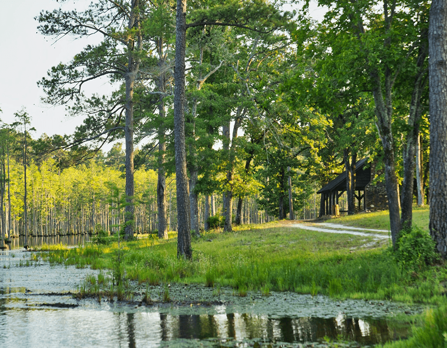 A serene landscape featuring a path by a pond surrounded by trees and a rustic cabin.