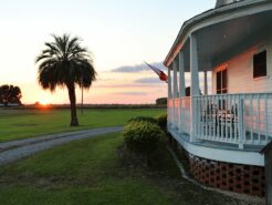 porch at sunset with palm tree in background